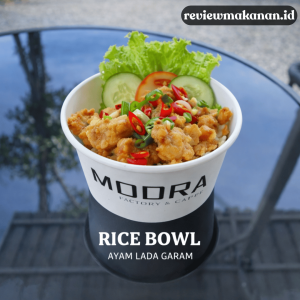 review rice bowl ayam